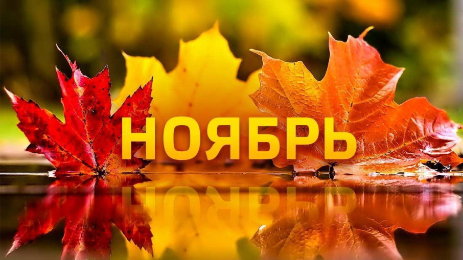 Наступил ноябрь Наступил ноябрь.